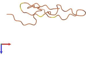 AlphaFold protein structure predicition of Human Recombinant KRTAP6-2 Protein, UniprotID Q3LI66