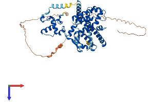 Peroxisome Proliferator-Activated Receptor gamma (PPARG) (AA 1-505) protein (His tag)