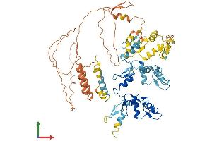 AlphaFold protein structure predicition of Human Recombinant ZNF214 Protein, UniprotID Q9UL59