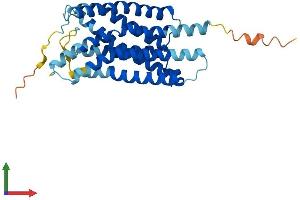 AlphaFold protein structure predicition of Human Recombinant GPR35 Protein, UniprotID Q9HC97