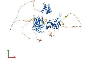 AlphaFold protein structure predicition of Mouse Recombinant Pias2 Protein, UniprotID Q8C5D8