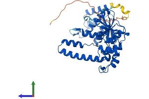 AlphaFold protein structure predicition of Human Recombinant FEN1 Protein, UniprotID P39748
