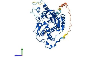 AlphaFold protein structure predicition of Mouse Recombinant B3gnt3 Protein, UniprotID Q5JCS9