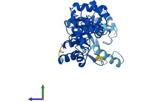 AlphaFold protein structure predicition of Human Recombinant GDPD3 Protein, UniprotID Q7L5L3