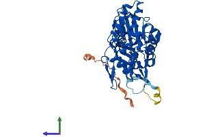 AlphaFold protein structure predicition of Human Recombinant ACTL7B Protein, UniprotID Q9Y614