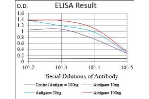 Black line: Control Antigen (100 ng), Purple line: Antigen(10 ng), Blue line: Antigen (50 ng), Red line: Antigen (100 ng), (SERPINA3 anticorps  (AA 279-432))