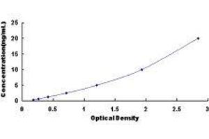 Nuclear Transcription Factor Y, gamma (NFYC) ELISA Kit