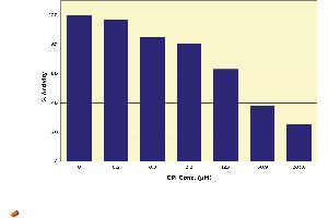 Image no. 2 for P450 Demethylation Activity Kit (ABIN577653) (P450 Demethylation Activity Kit)