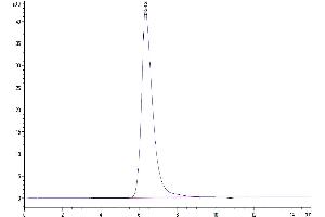 The purity of Biotinylated Human Nectin-3 is greater than 95 % as determined by SEC-HPLC.