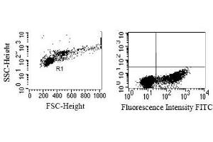 Intracellular detection of granzyme K in humanPBMC.
