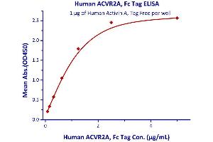 Measured by its binding ability in a functional ELISA. (ACVA Protein (AA 311-426))