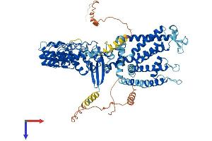 AlphaFold protein structure predicition of Human Recombinant TRPV6 Protein, UniprotID Q9H1D0