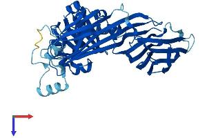 AlphaFold protein structure predicition of Human Recombinant AP3M2 Protein, UniprotID P53677