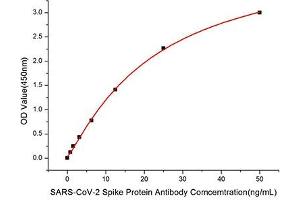 Immobilized Recombinant SARS-COV-2 S1+S2 ECD(S-ECD) Protein (RP01283) at 1 μg/mL (100μL/well) can bind SARS-CoV-2 Spike Rabbit pAb (ABIN7266506) with a linear range of 0.