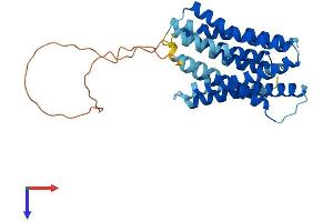AlphaFold protein structure predicition of Mouse Recombinant Slc39a3 Protein, UniprotID Q99K24