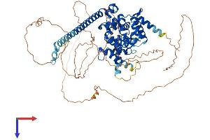 AlphaFold protein structure predicition of Human Recombinant TBC1D14 Protein, UniprotID Q9P2M4