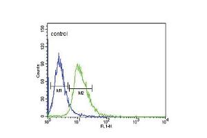 Flow cytometric analysis of CEM cells (right histogram) compared to a negative control cell (left histogram). (DRD4 anticorps  (AA 365-391))