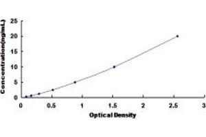 Typical standard curve (Syncoilin Kit ELISA)