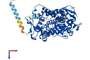 AlphaFold protein structure predicition of Mouse Recombinant Cyp2f2 Protein, UniprotID P33267