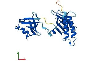 AlphaFold protein structure predicition of Human Recombinant TRAPPC4 Protein, UniprotID Q9Y296