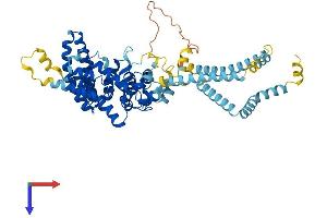 AlphaFold protein structure predicition of Mouse Recombinant St7 Protein, UniprotID Q99M96