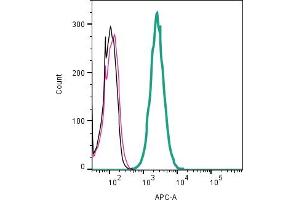 Cell surface detection of KCNK13 by indirect flow cytometry in live intact mouse  microglia cell line: + goat-anti-rabbit-APC. (KCNK13 anticorps  (Extracellular))