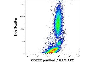 Flow cytometry surface staining pattern of human peripheral whole blood stained using anti-human CD222 (MEM-238) purified antibody (concentration in sample 2 μg/mL) GAM APC. (IGF2R anticorps)