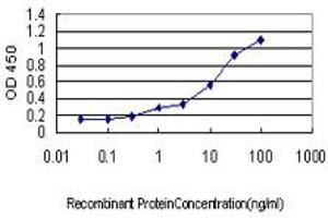 Detection limit for recombinant GST tagged APPBP1 is approximately 0. (NAE1 anticorps  (AA 1-534))