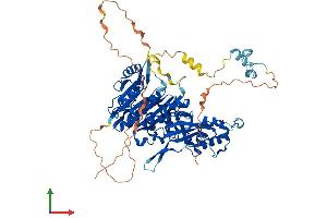 AlphaFold protein structure predicition of Mouse Recombinant Trmt1 Protein, UniprotID Q3TX08