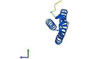 AlphaFold protein structure predicition of Human Recombinant LYRM4 Protein, UniprotID Q9HD34