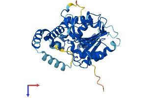 AlphaFold protein structure predicition of Human Recombinant LDAH Protein, UniprotID Q9H6V9