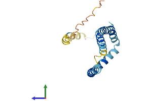 AlphaFold protein structure predicition of Mouse Recombinant Fundc1 Protein, UniprotID Q9DB70