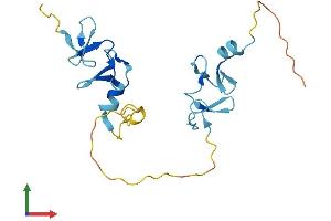 AlphaFold protein structure predicition of Mouse Recombinant Csrp3 Protein, UniprotID P50462