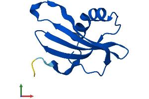 AlphaFold protein structure predicition of Mouse Recombinant Cstb Protein, UniprotID Q62426