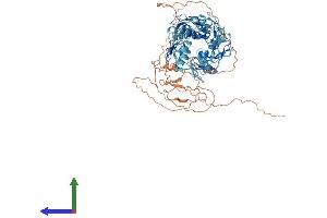 AlphaFold protein structure predicition of Human Recombinant ZNF658B Protein, UniprotID Q4V348