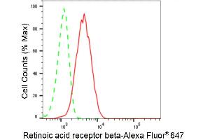 Flow cytometric analysis of Retinoic acid receptor beta expression in HeLa cells using Retinoic acid receptor beta antibody (ABIN7800190), 1:2,000). (Recombinant Retinoic Acid Receptor beta anticorps)