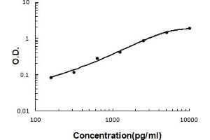Sandwich ELISA - Recombinant human Angiopoietin-2 protein standard curve. (Angiopoietin 2 anticorps  (AA 180-283))