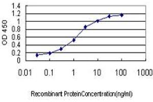 Detection limit for recombinant GST tagged ING1 is approximately 0. (ING1 anticorps  (AA 41-140))