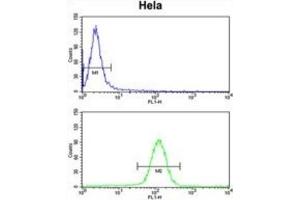 Flow Cytometry (FACS) image for anti-Ubiquitin-Like, Containing PHD and RING Finger Domains, 1 (UHRF1) antibody (ABIN3003938) (UHRF1 anticorps)