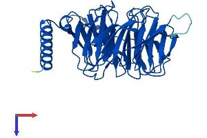 AlphaFold protein structure predicition of Mouse Recombinant Gnb3 Protein, UniprotID Q61011