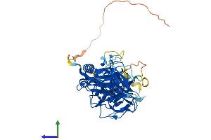 AlphaFold protein structure predicition of Mouse Recombinant Peli3 Protein, UniprotID Q8BXR6