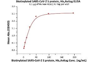 Immobilized Human ACE2, Fc Tag (ABIN6952459,ABIN6952465) at 1 μg/mL (100 μL/well) can bind Biotinylated SARS-CoV-2 S protein, His,Avitag (ABIN6992367) with a linear range of 2-39 ng/mL (QC tested). (SARS-CoV-2 Spike Protein (P.1 - gamma, Trimer) (His tag,AVI tag,Biotin))