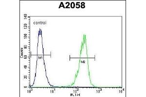 TI Antibody (C-term) (ABIN655149 and ABIN2844770) flow cytometric analysis of  cells (right histogram) compared to a negative control cell (left histogram).