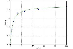 A typical standard curve