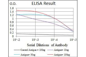 Red: Control Antigen (100ng) ; Purple: Antigen (10ng) ; Green: Antigen (50ng) ; Blue: Antigen (100ng). (DLL4 anticorps)