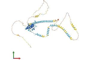 AlphaFold protein structure predicition of Human Recombinant UPF3B Protein, UniprotID Q9BZI7