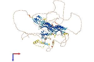 AlphaFold protein structure predicition of Human Recombinant BICC1 Protein, UniprotID Q9H694