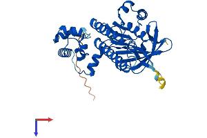 AlphaFold protein structure predicition of Mouse Recombinant Dmc1 Protein, UniprotID Q61880