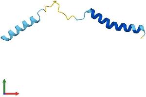 AlphaFold protein structure predicition of Mouse Recombinant Serp2 Protein, UniprotID Q6TAW2