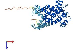 AlphaFold protein structure predicition of Human Recombinant SLC25A31 Protein, UniprotID Q9H0C2